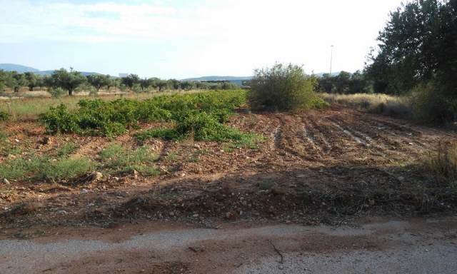 Arriendo de Terreno en Arica